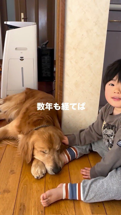 犬の隣に座る男の子