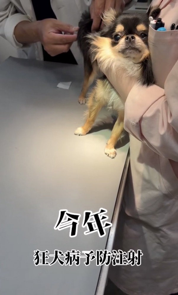 ビクッ