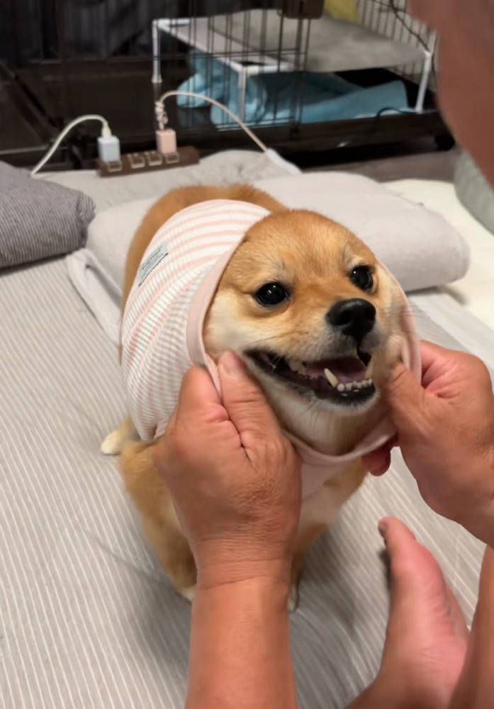 頭から服をかぶせる