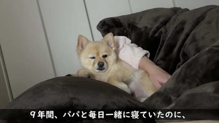 9年間パパと寝ていたのに…