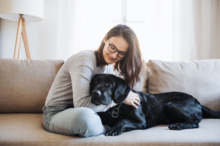 ソファの上で戯れ合う女性と犬