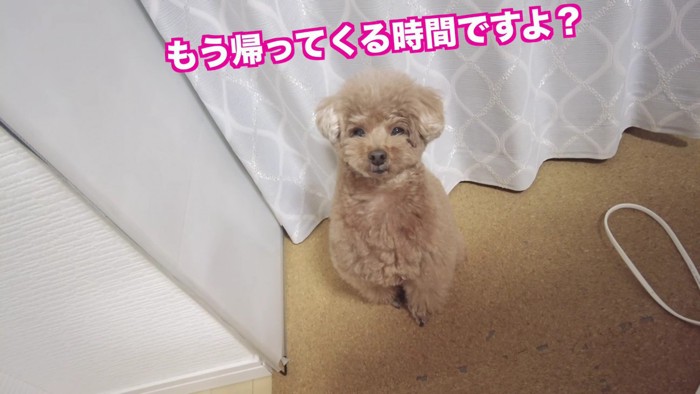 パパが帰ってこない…