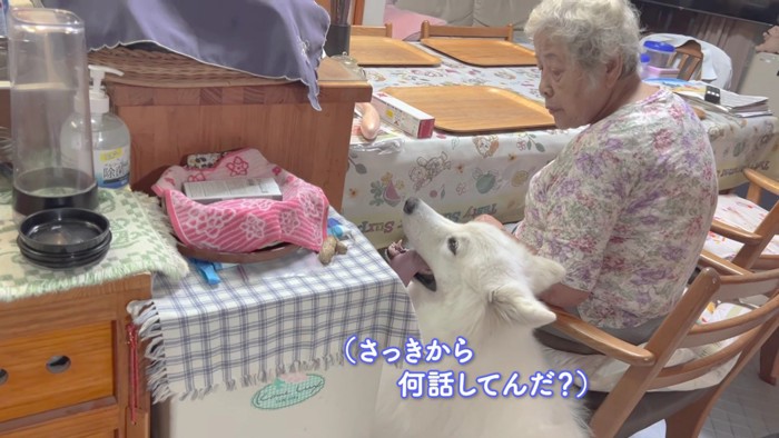 ニコニコのアイスちゃん