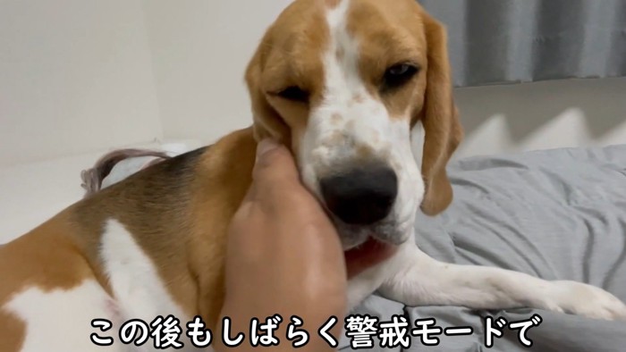 小さな子どものよう♡