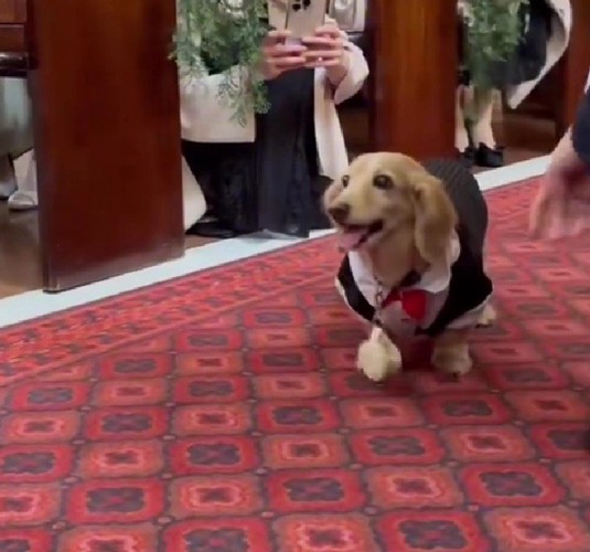 リングを届けて笑顔に♡