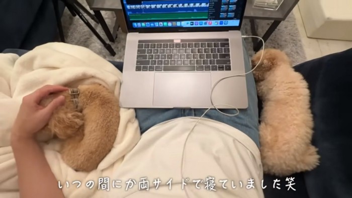 飼い主さんの両サイドで眠る2匹