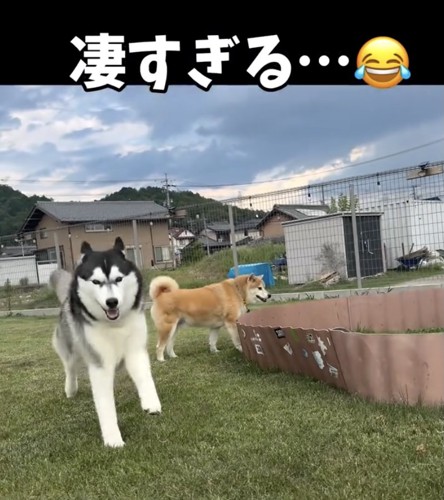 まだまだ若者には負けない大御所
