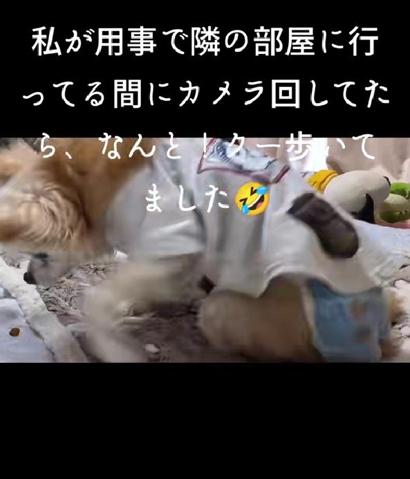 ひとりで立ち上がった!!