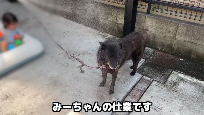 女の子に水をかけられたら…