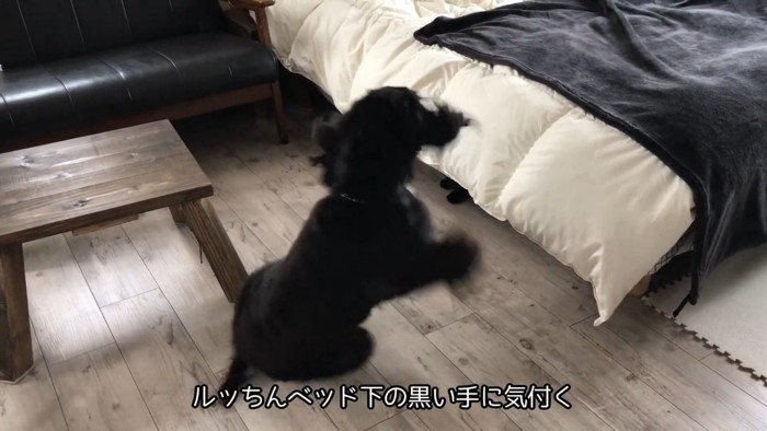ルークくんはびっくり！