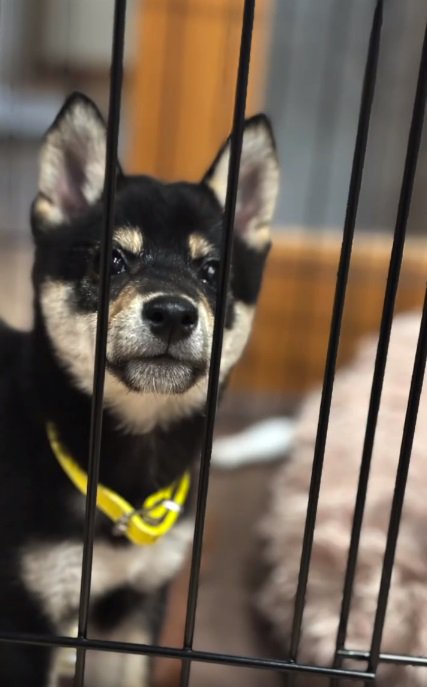 アップのかぜちよくん