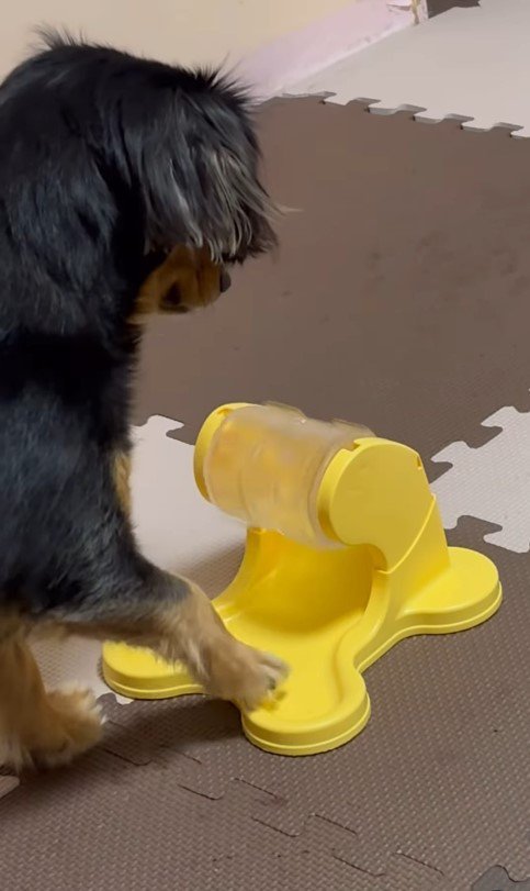 ごはんが出るオモチャで遊ぶれん君9