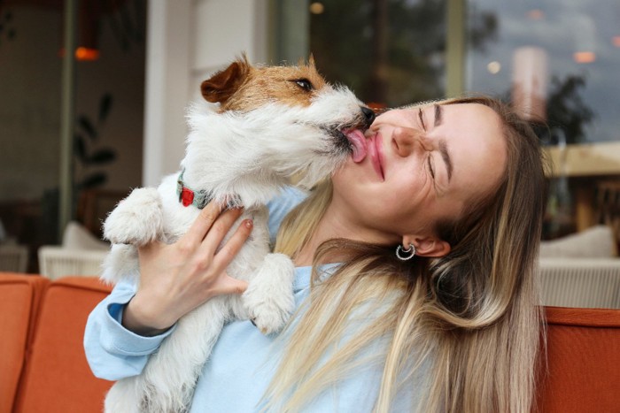 女性の顔を舐める犬