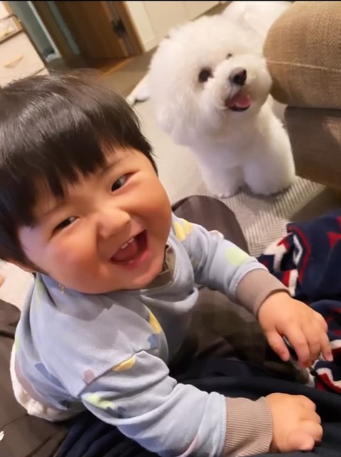 笑顔の赤ちゃんと小型犬
