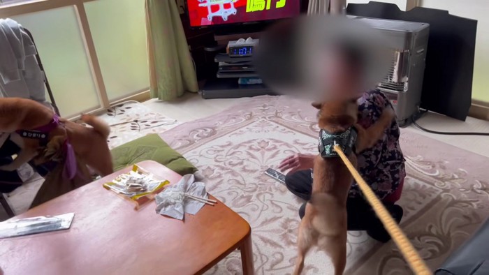 2匹も誕生日を祝います