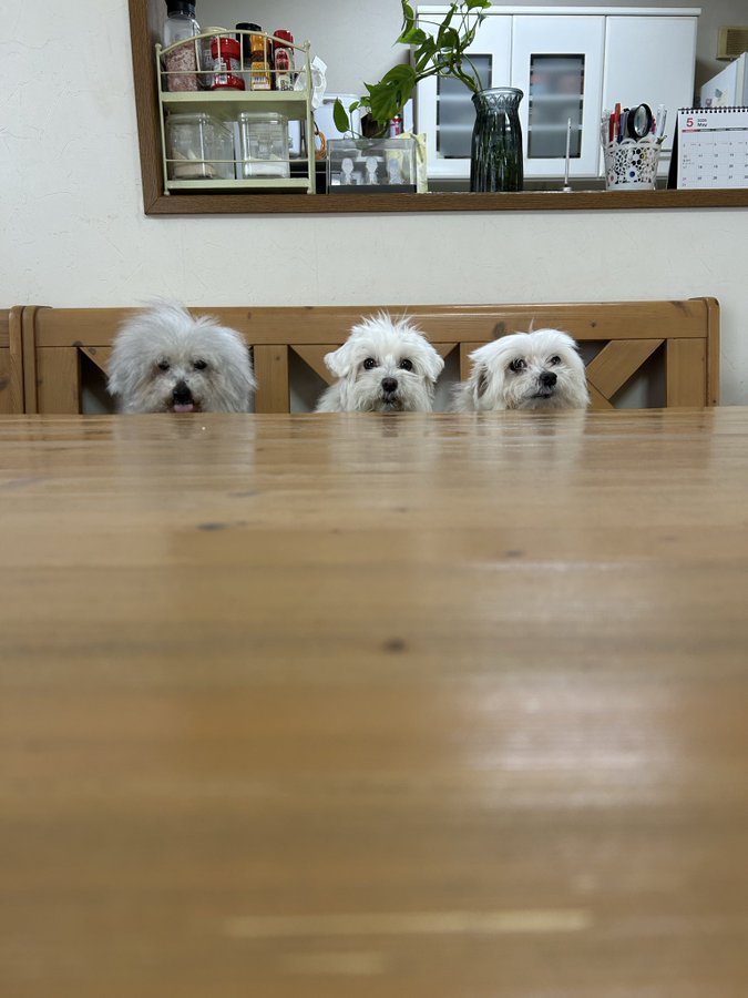 仲良し