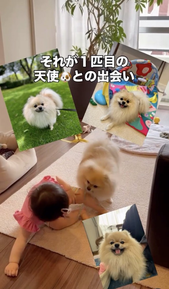 あふれる笑顔