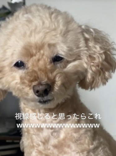 なんとも言えない表情…