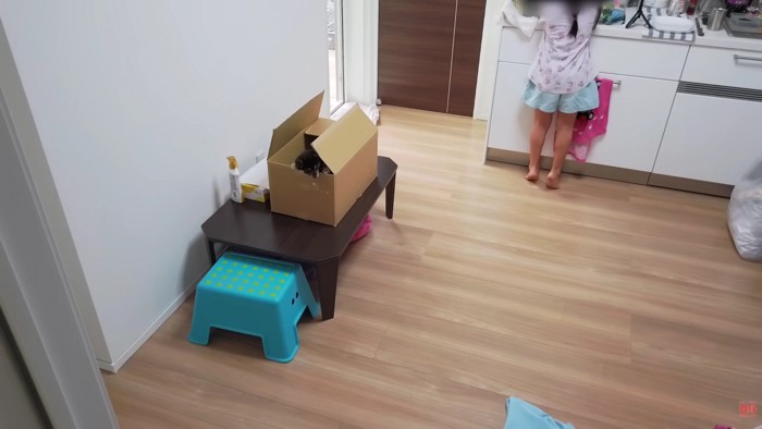 自主的に手を洗った!