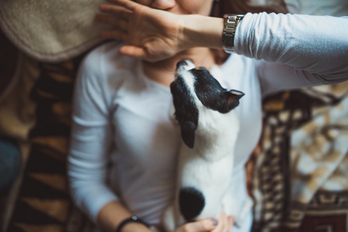 手で拒む人と犬