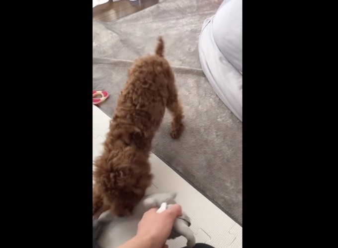 全力で遊ぶ！！