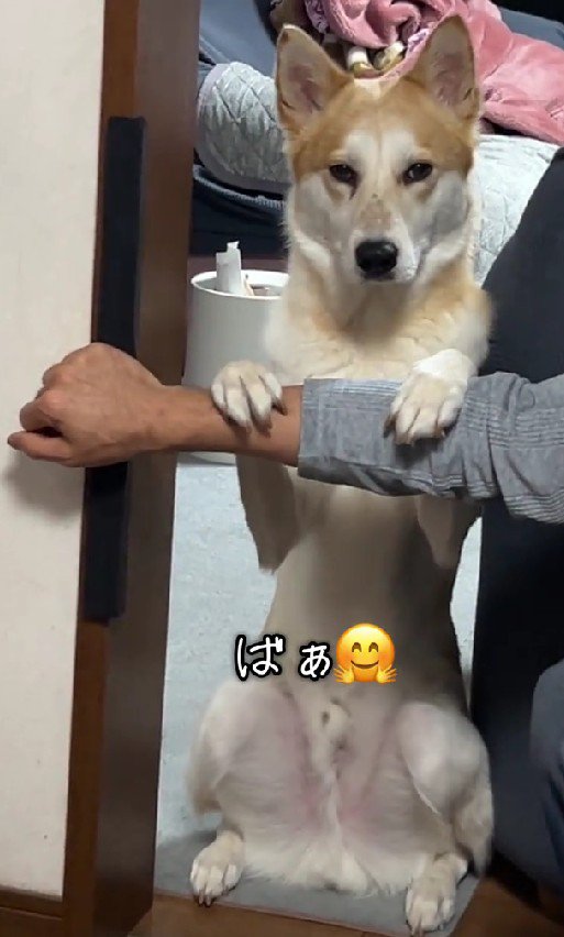 なんだか渋い顔に！