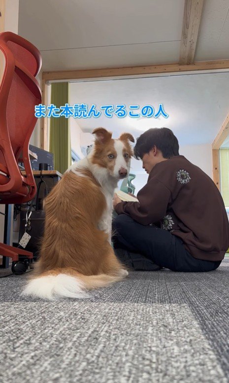 ラスカルくんの構って攻撃