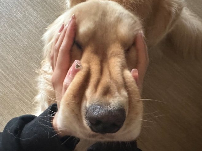 ふにゃふにゃ