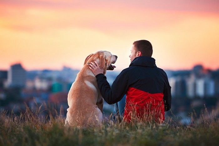 男性と犬の後ろ姿