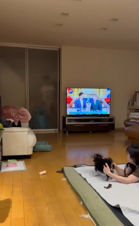 大きなぬいぐるみを見た貂ちゃん