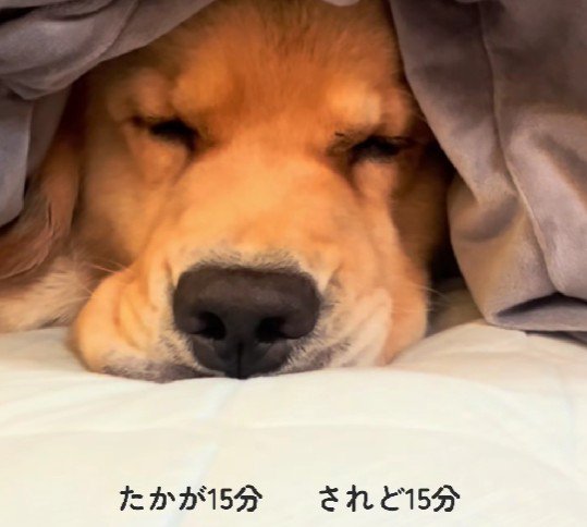 「まだ許してませんけど?」