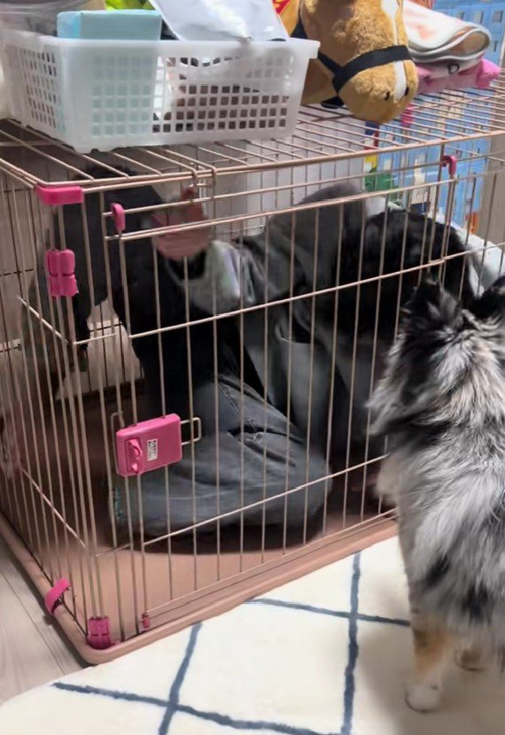 「あれ？出られない…」