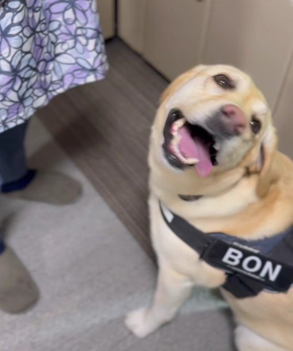 好物のバナナが…！