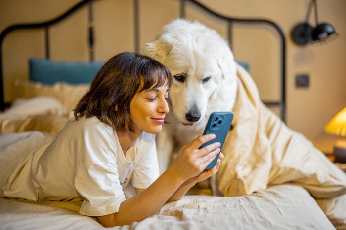 茶色のドゥードゥルと飼い主の女性