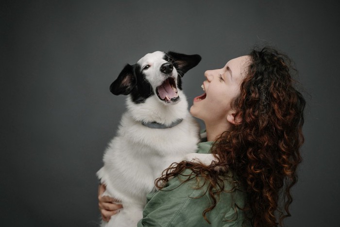 女性に抱かれながらあくびする犬