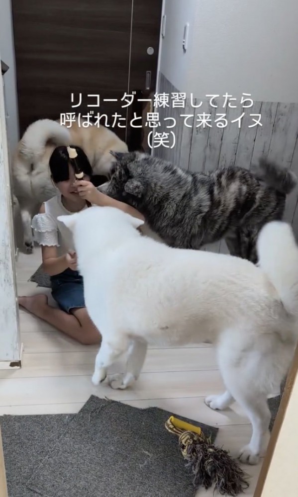 わちゃわちゃ