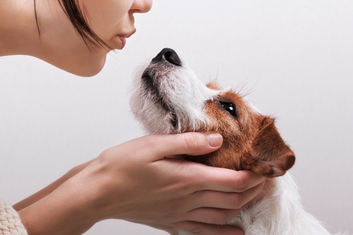 女性と向き合って口を近づけ合う犬