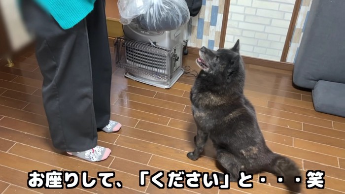 「赤ちゃんをください!」