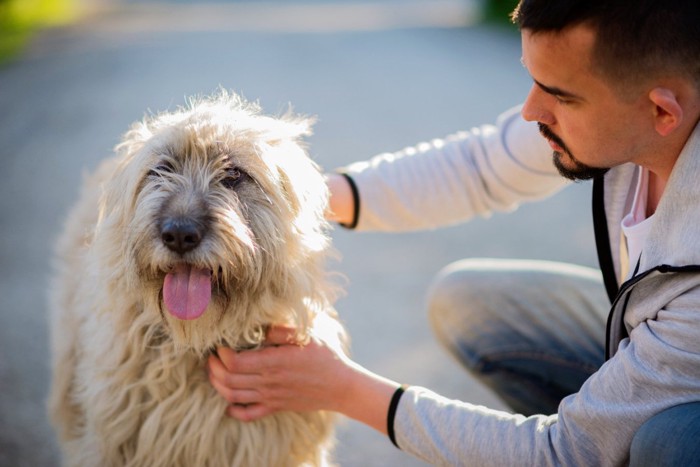 犬と男性