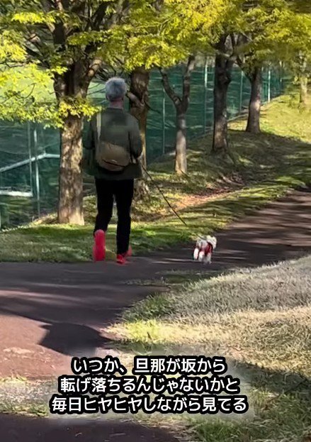 下り坂で全力疾走のラフくん