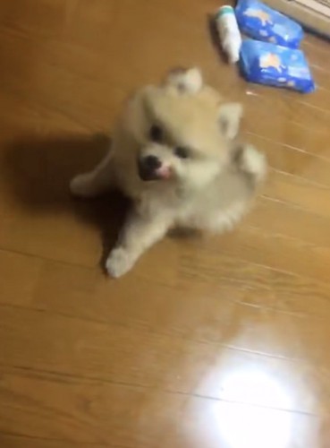 小さく育つと思っていたら…