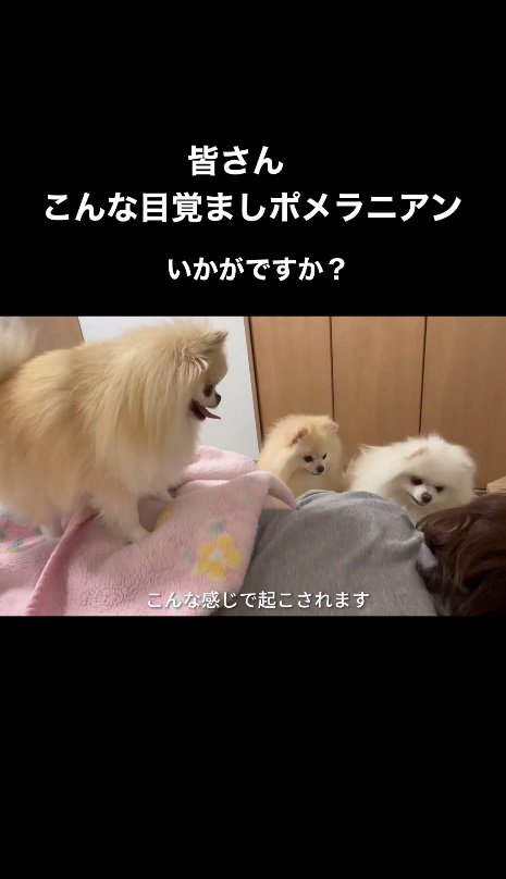 お顔周辺をカキカキ…