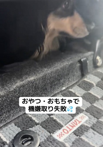 プイッ！！