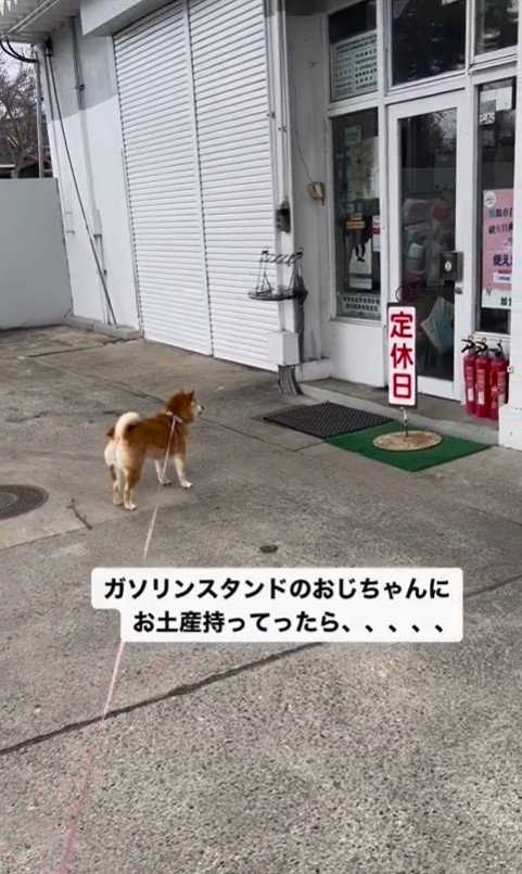 ガソリンスタンドを訪れたハナちゃん5