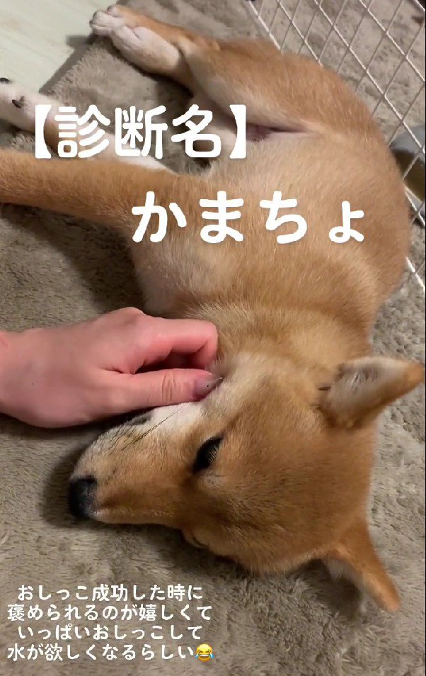 褒められたかっただけ♡