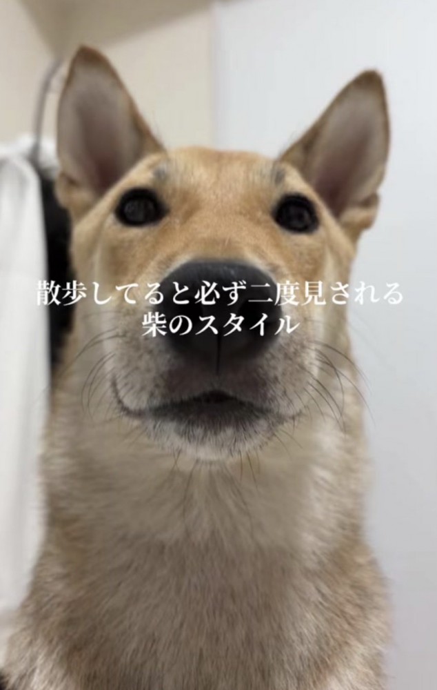 絶対に二度見されちゃう
