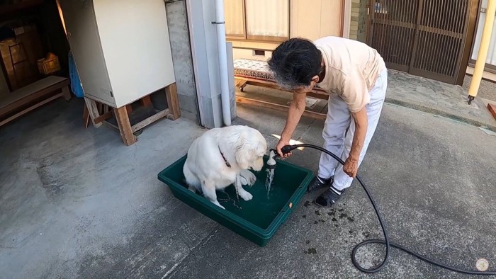 メイちゃんの水遊び3