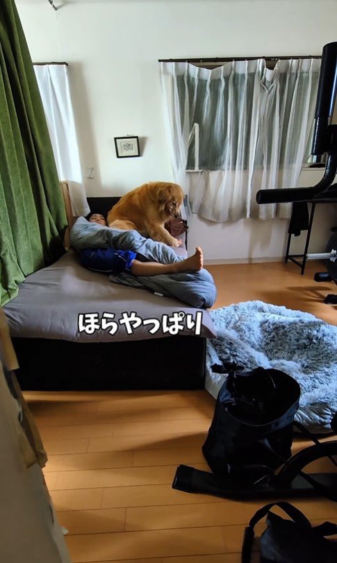 お兄ちゃんの部屋から出てこない蘭ちゃん4