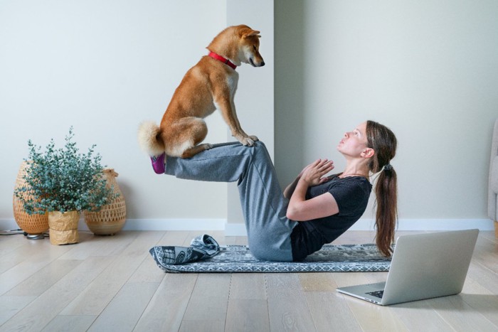 柴犬とヨガをする女性