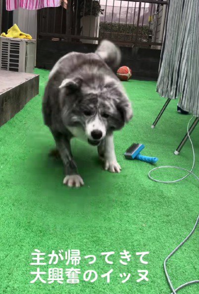 嬉しさが爆発！！